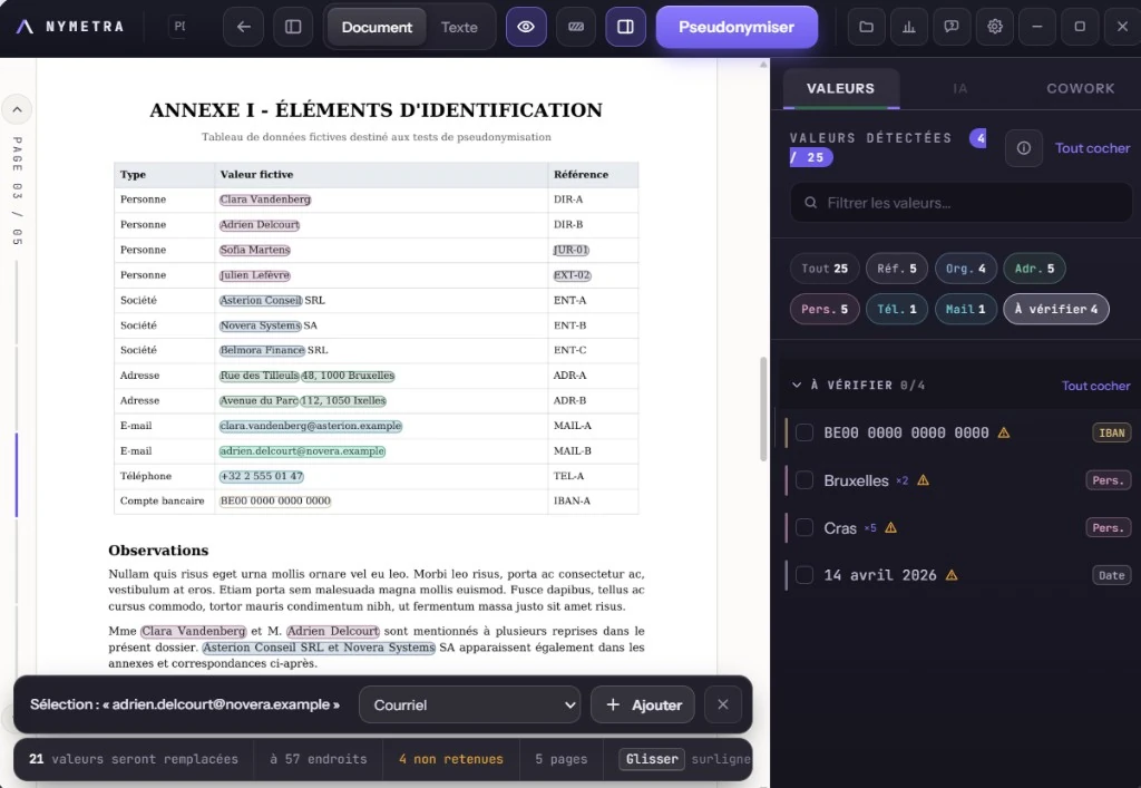 Interface NYMETRA : tableau d’éléments d’identification, valeurs à vérifier et ajout d’une sélection au panneau latéral